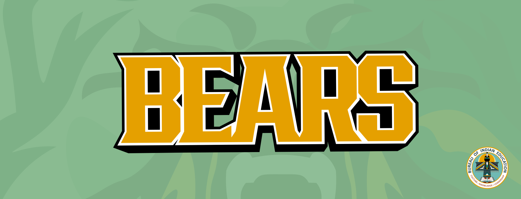 Bears