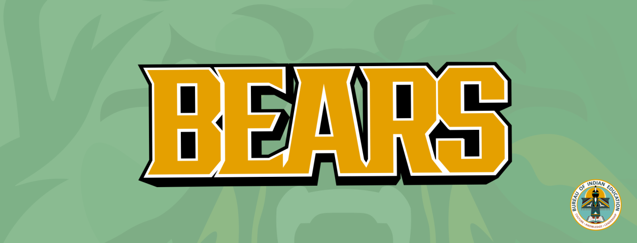 Bears